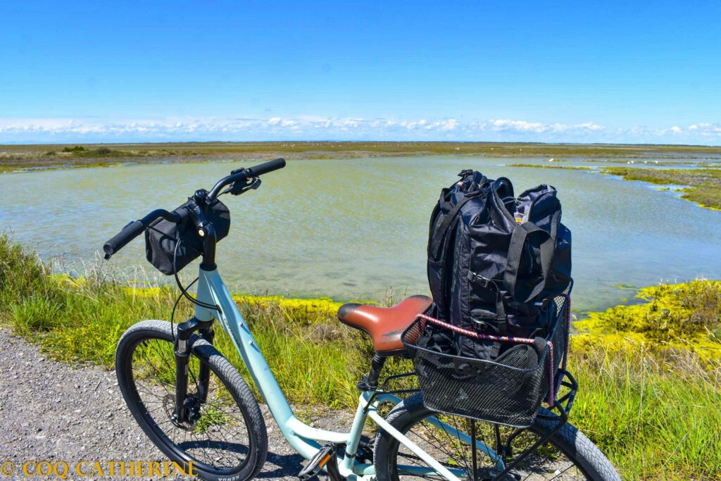1 camargue a velo coq 0652