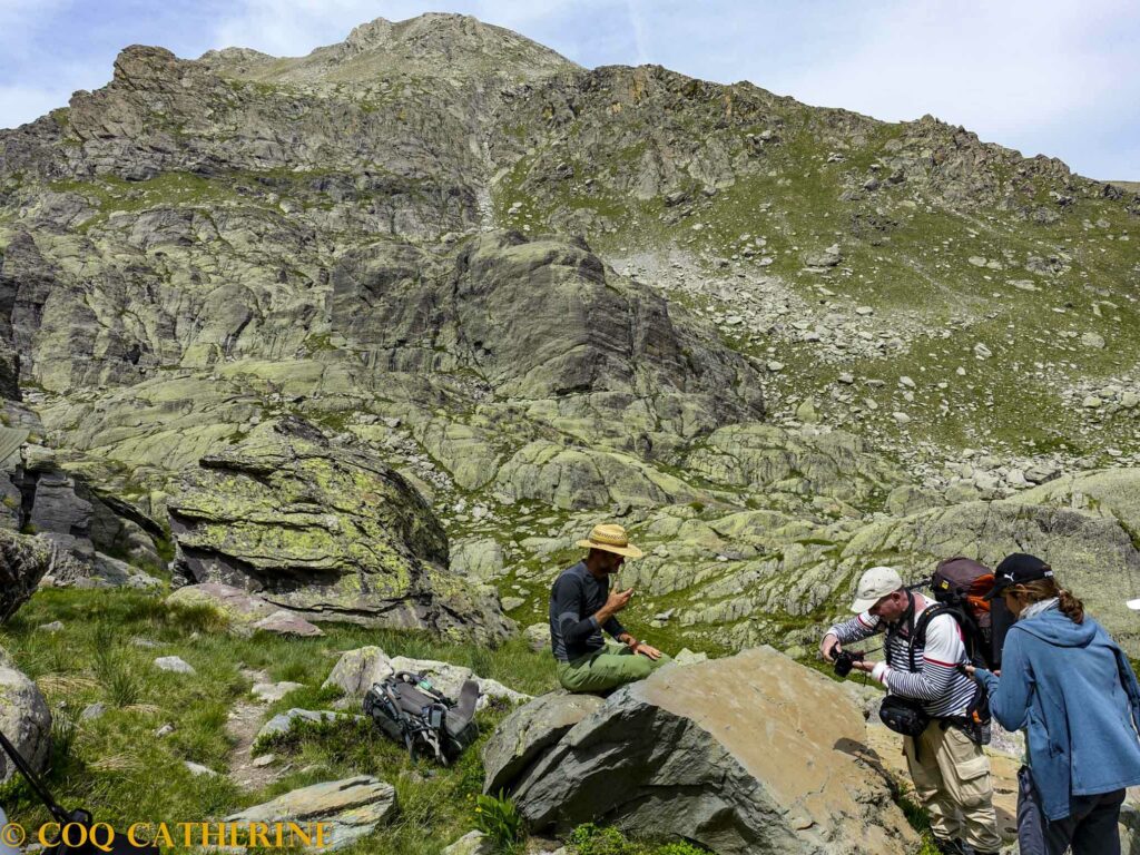 Un groupe de personne regarde et photographie une dalle gravée de la Vallée des Merveilles