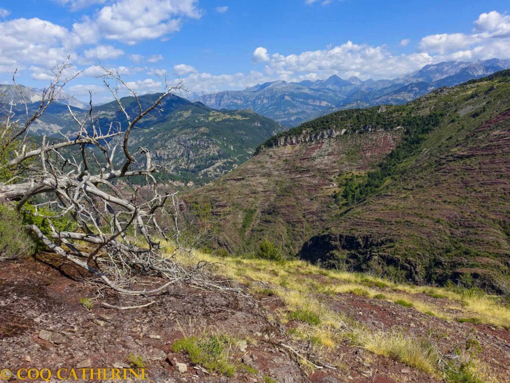 Le sentier en belvédère sur les Gorges d’Amen et le hameau d’Amen et un arbre mort