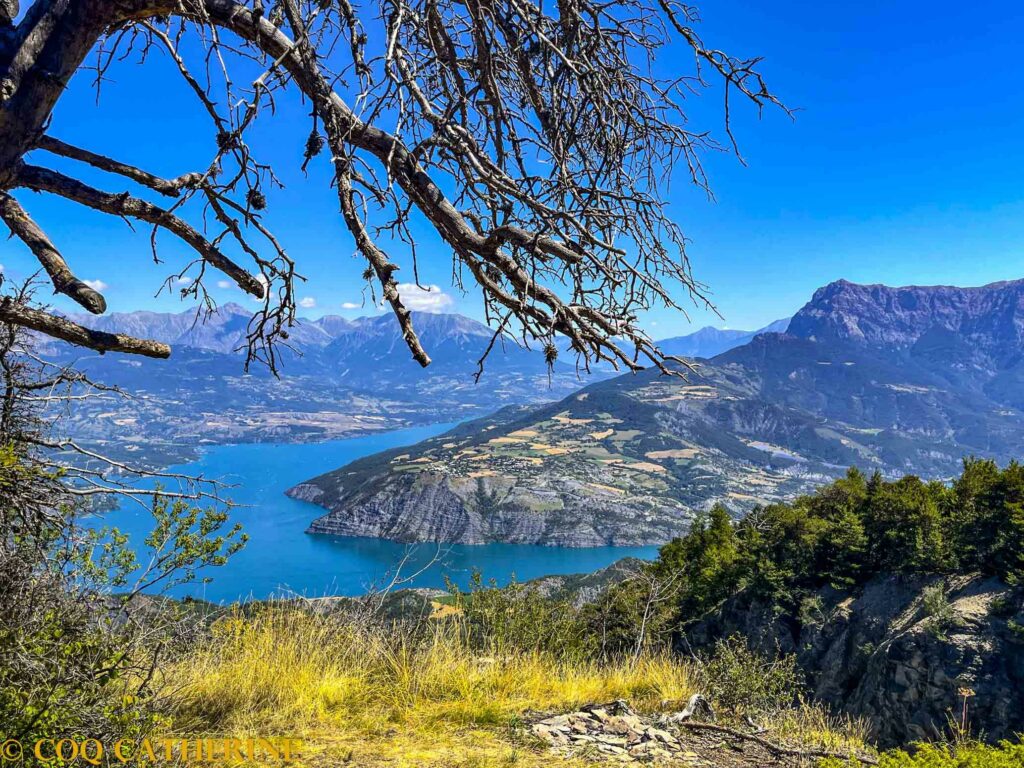 Panorama sur le lac de Serre-Ponçon et les montagnes avec un arbre mort en premier plan, depuis le sommet du Clot de la Cime
