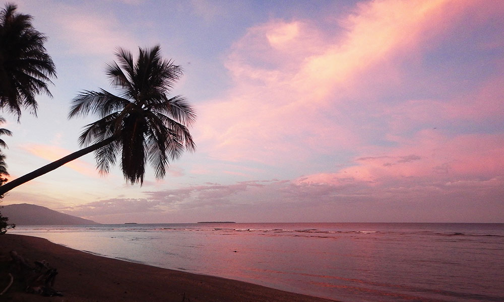coucher de soleil sur la cote de Hienghen en nouvelle Caledonie avec l'ombre d'un cocotier