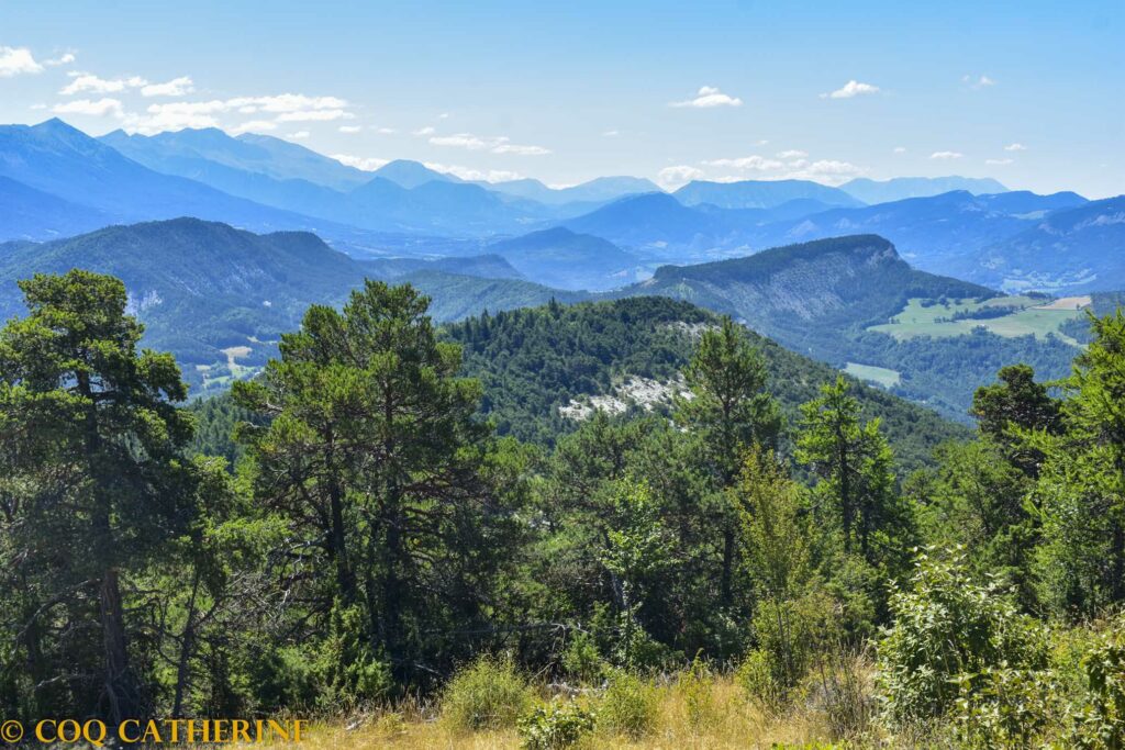Panorama sur les Préalpes Dignoises et le sommet de l’Estrop