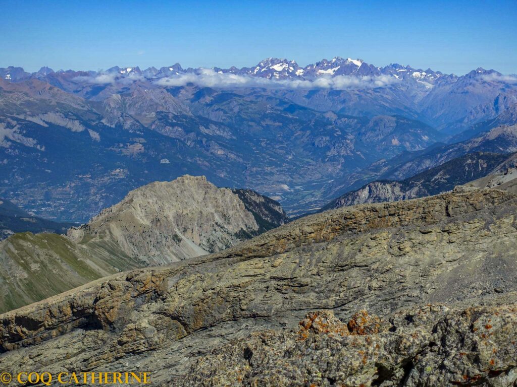 Panorama sur les glaciers des Ecrins depuis le sommet de la Mortice
