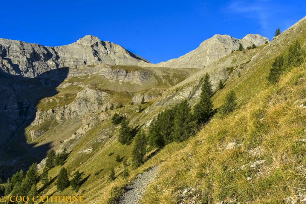 Panorama sur le Mont Cimet depuis le Ravin de la Cayolle