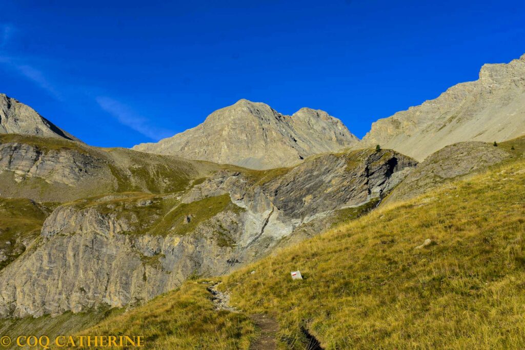 les arrêtes du Mont Cimet depuis le Ravin de la Cayolle