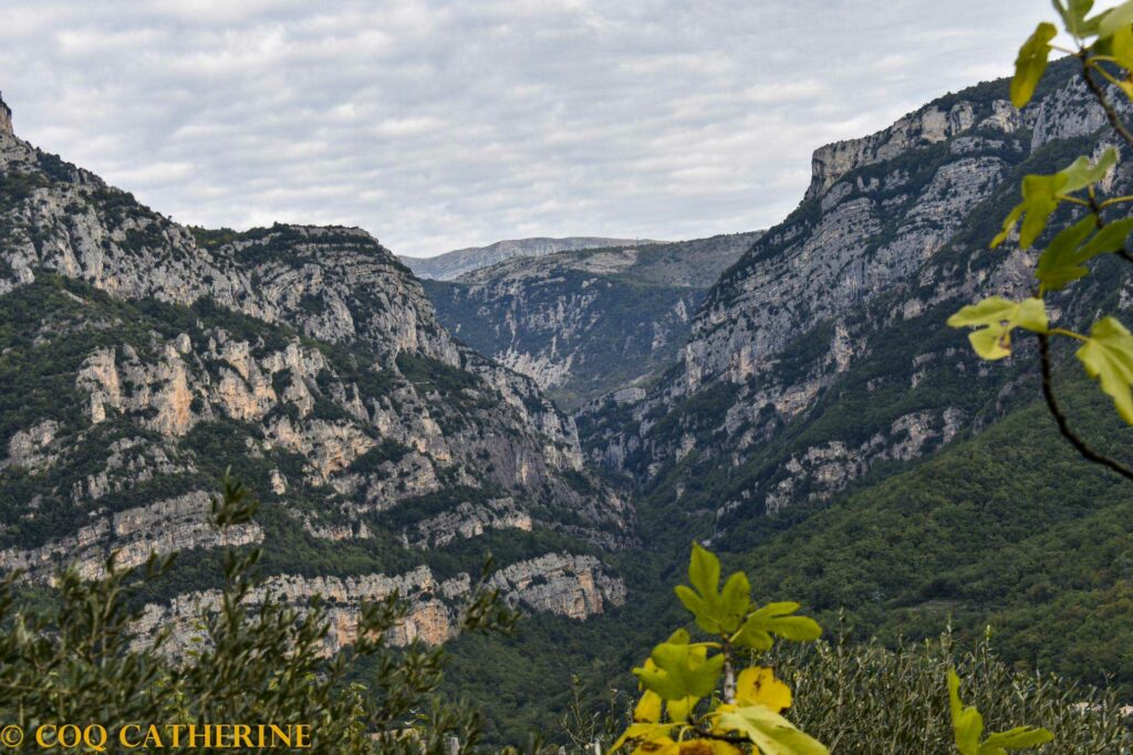 Les falaises des gorges du Loup 