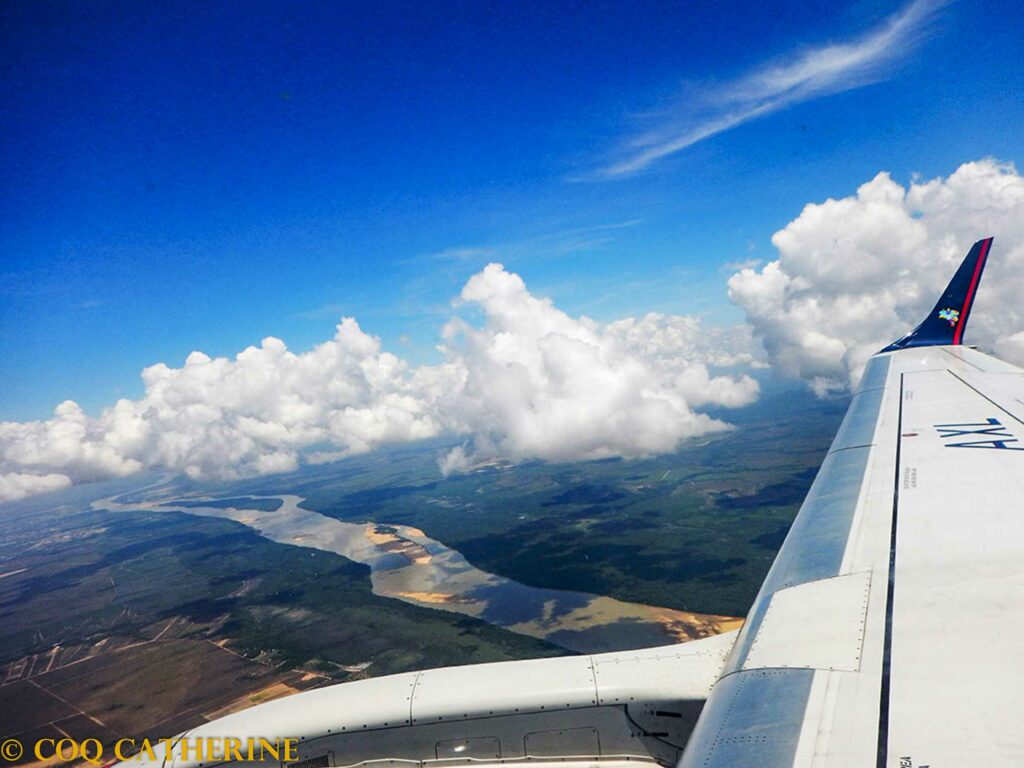 L’aile d’un avion avec le paysage plus bas avec un fleuve dans la forêt tropicale