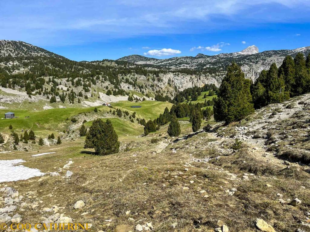 Sur les Hauts Plateau du Vercors avec quelques arbres et les falaises calcaires