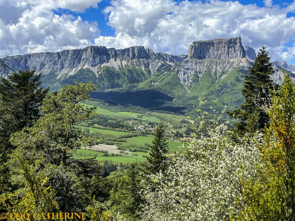 Panorama sur le Mont Aiguille et le Vercors depuis le sommet de Platary avec des arbres en fleurs