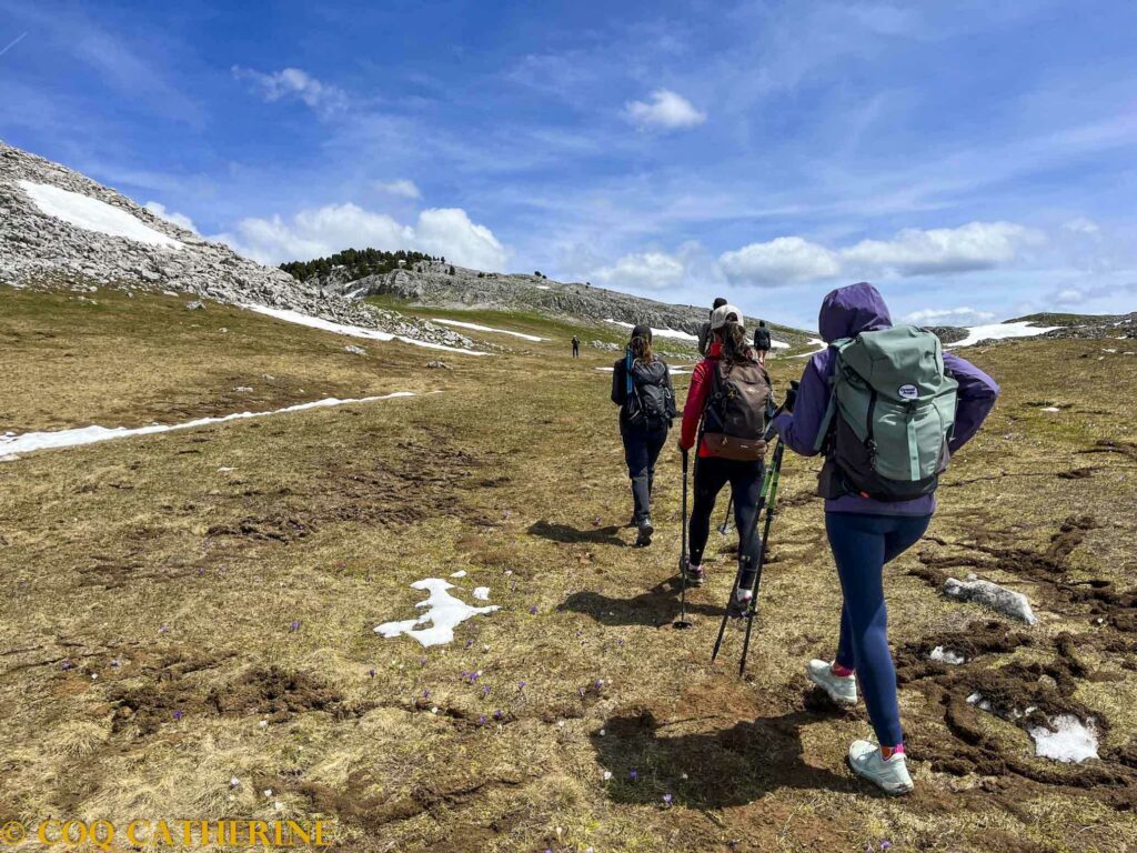 Le groupe de personnes sur le chemin de randonnée sur le plateau karstique de la Tête Chevalière