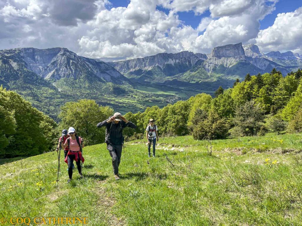 Un guide de randonnée avec des personnes qui marchent derrière pour le sommet de Platary et en fond le Mont Aiguille et le Vercors